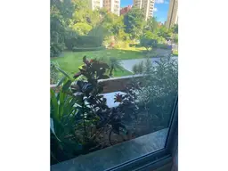 Vista 4