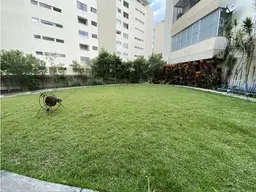 Vista 25