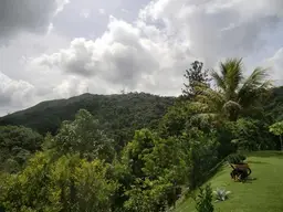 Vista 20