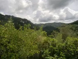 Vista 21