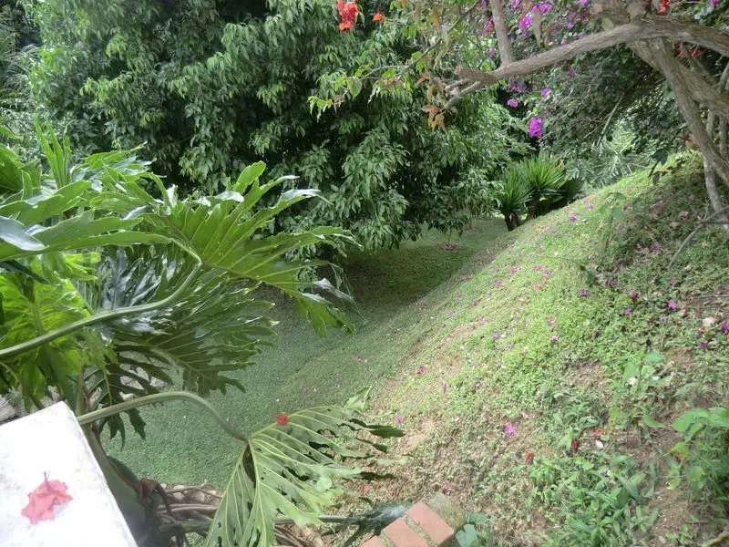 Casa (Multipes Niveles) en Venta en Oripoto, Distrito Metropolitano - 5