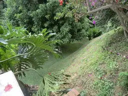 Vista 5