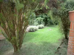 Vista 6