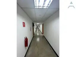 Vista 38