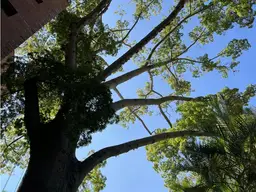 Vista 3