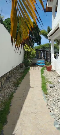 Vista 19