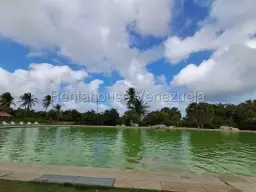 View 62