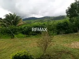 View 4