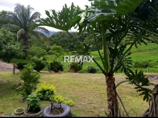 Hermosa finca en venta - 6