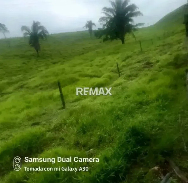 Hermosa finca en venta - 7