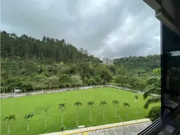 View 4
