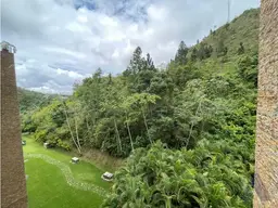 View 37