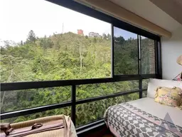 View 50