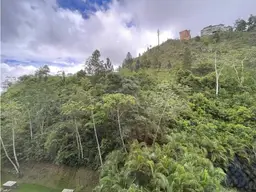 View 64