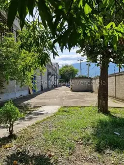 Vista 16