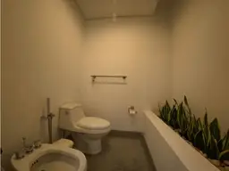 Vista 16