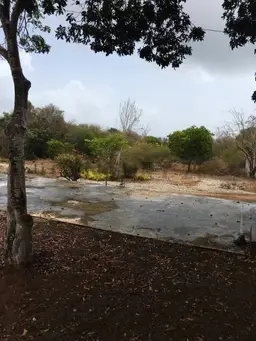 View 11
