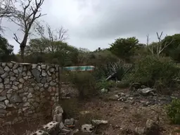 View 5