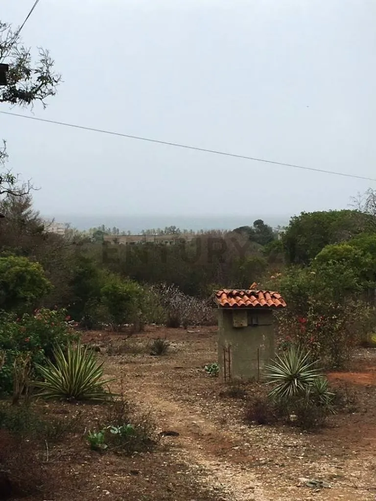 Terreno con bienhechurías en la Mira Playa el Agua Isla de Margarita - 6