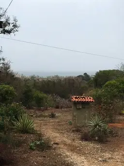 View 6