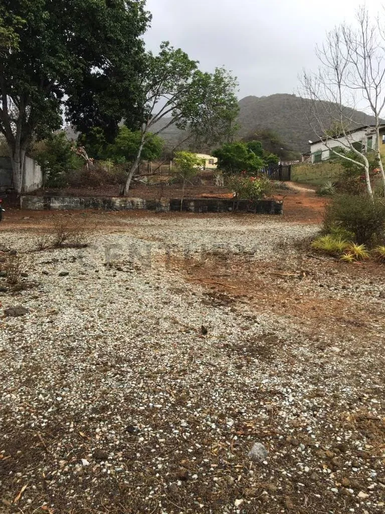 Terreno con bienhechurías en la Mira Playa el Agua Isla de Margarita - 7