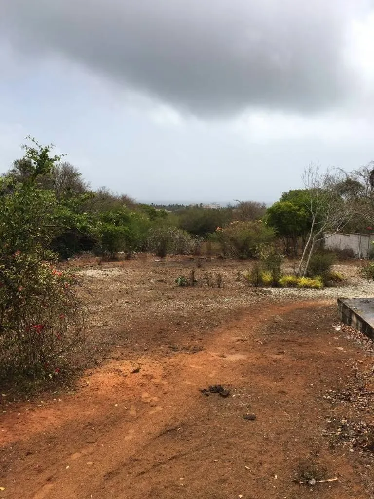 Terreno con bienhechurías en la Mira Playa el Agua Isla de Margarita - 9