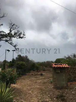 View 10
