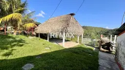 Vista 1