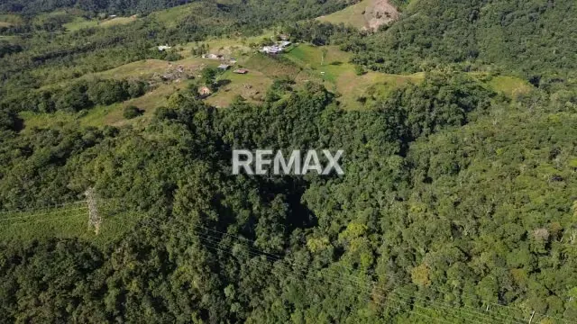 OPORTUNIDAD DE INVERSIÓN FINCA AGROPECUARIA Y TURÍSTICA A 45 MINUTOS DE SAN CRISTÓBAL! Ubicación: Sector Vega de Aza (Zona Alto Viento) - 15