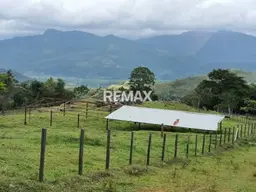 Vista 10