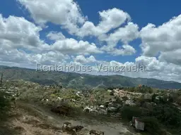 View 3