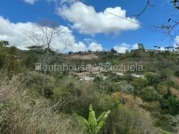 View 5