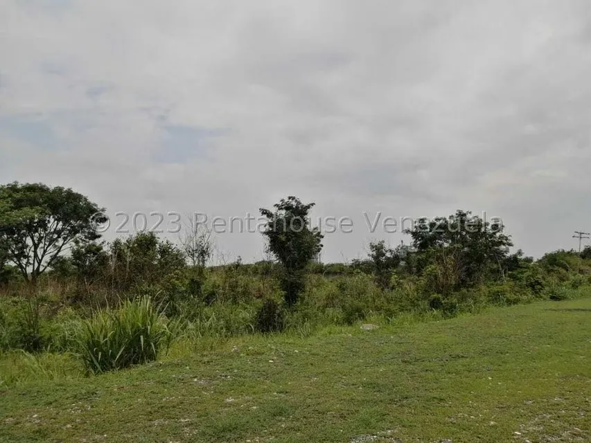 Terreno (Industrial) en Venta en Miraflores, Portuguesa - 14