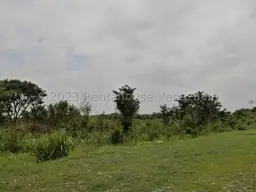 Vista 14