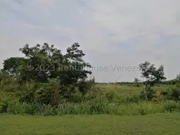 Vista 15