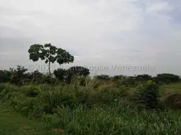 Vista 16