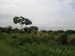 Vista 18