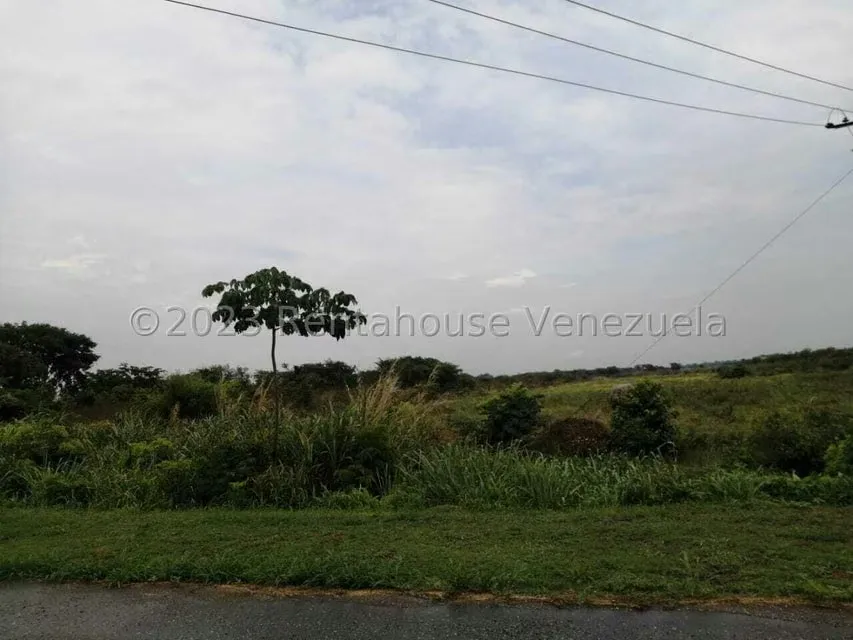 Terreno (Industrial) en Venta en Miraflores, Portuguesa - 19