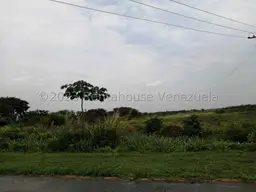 Vista 19