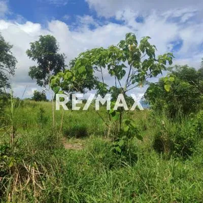 Terreno en Venta, ubicado en la Mata, Municipio Escuque - 3