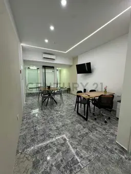 Vista 4