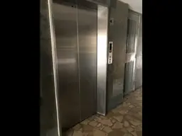 Vista 5
