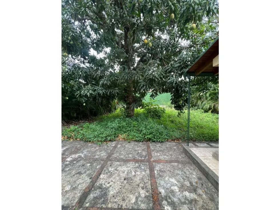 Se vende terreno 1273m2 La Floresta 7984 - 18