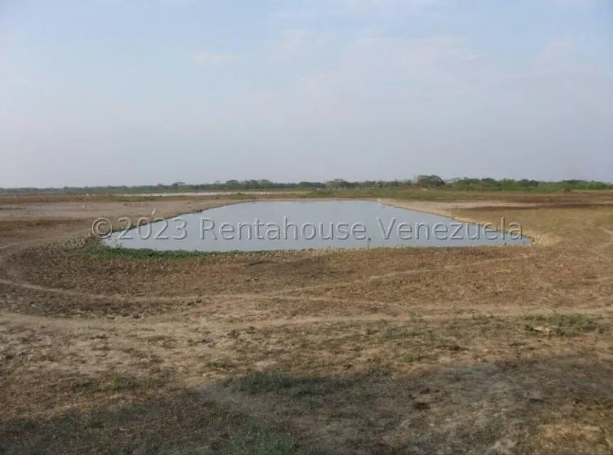 Terreno (Finca) en Venta en Turen, Portuguesa - 5