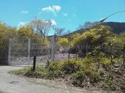 Vista 1