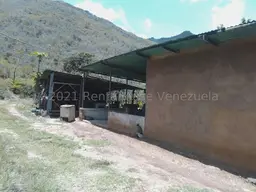 Vista 12