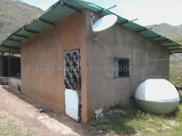 Vista 15