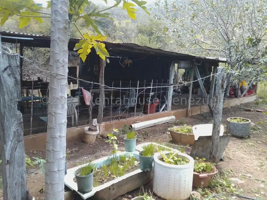 Terreno (Finca) en Venta en Tacarigua, Nueva Esparta - 18