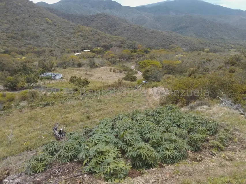 Terreno (Finca) en Venta en Tacarigua, Nueva Esparta - 4