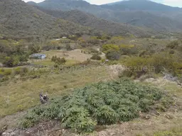 Vista 4
